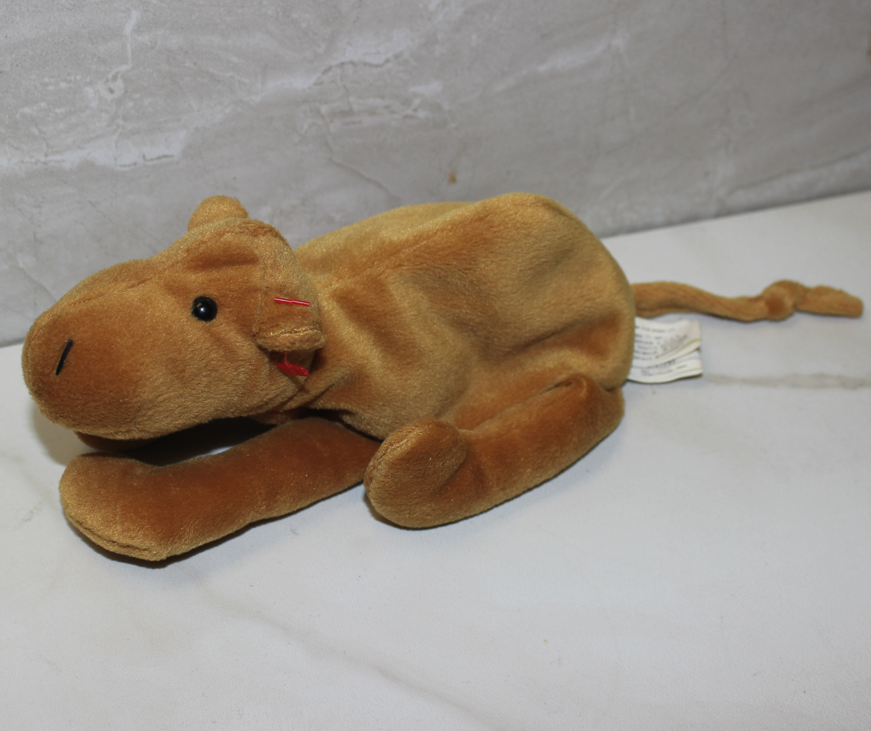 ty beanie baby humphrey camel