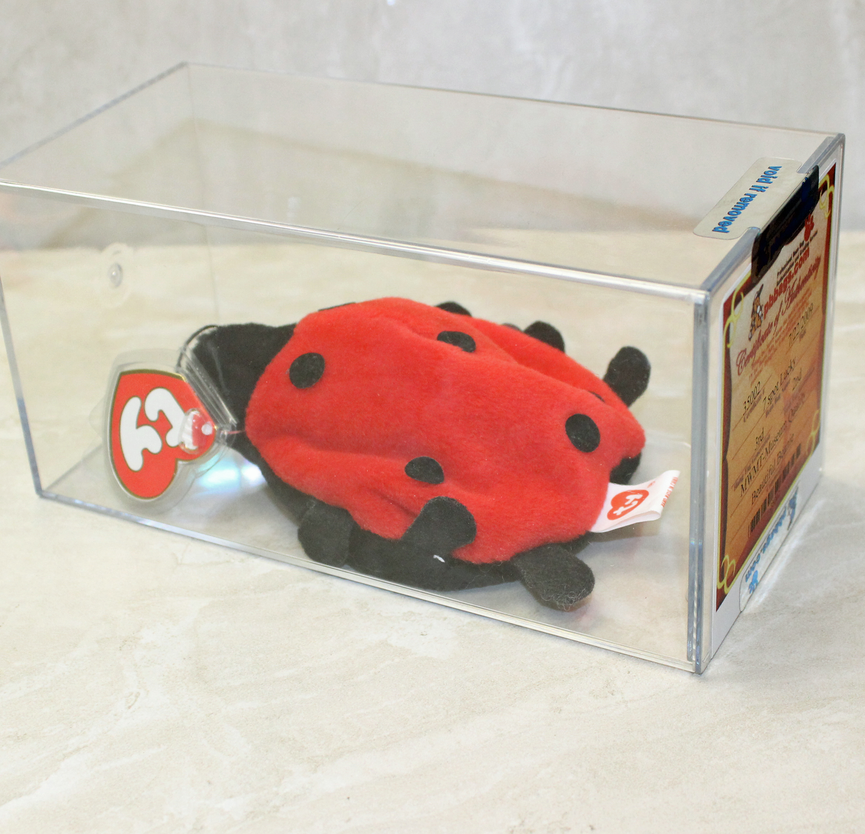 ladybug beanie baby